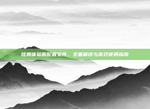 炫舞体验服配置文件,全面解读与高效使用指南