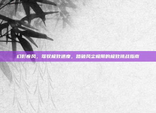 幻影疾风,驾驭极致速度,踏破风尘极限的极致挑战指南