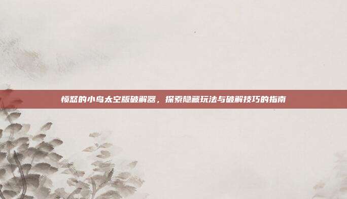 愤怒的小鸟太空版破解器,探索隐藏玩法与破解技巧的指南