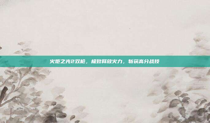 火炬之光2双枪，极致释放火力，斩获高分战技