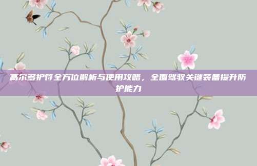 高尔多护符全方位解析与使用攻略,全面驾驭关键装备提升防护能力
