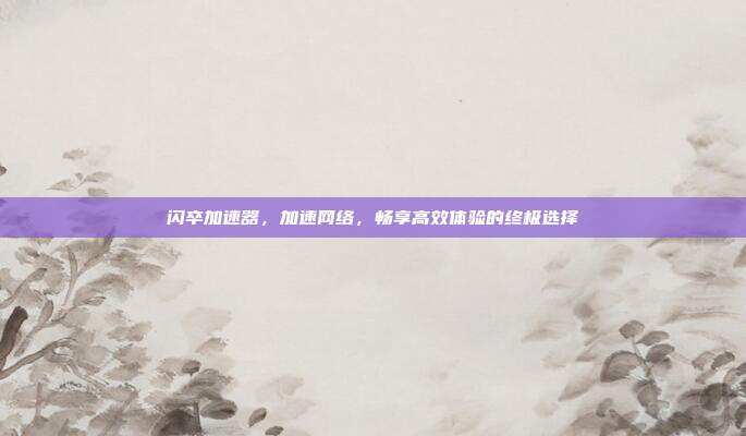 闪卒加速器,加速网络,畅享高效体验的终极选择