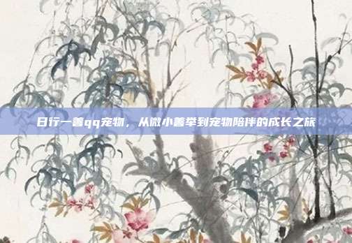 日行一善qq宠物,从微小善举到宠物陪伴的成长之旅