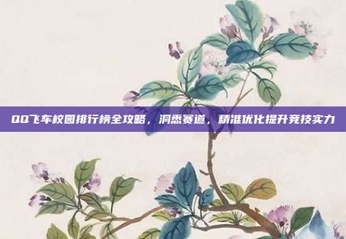 QQ飞车校园排行榜全攻略,洞悉赛道,精准优化提升竞技实力