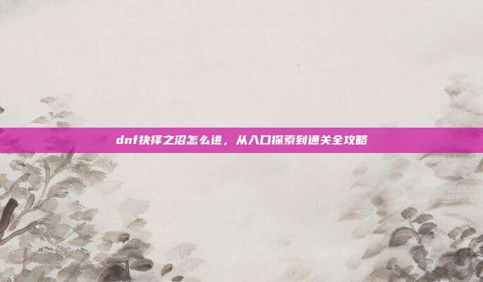 dnf抉择之沼怎么进,从入口探索到通关全攻略