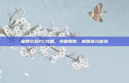 皇牌空战PC攻略,突破限制,解锁高分秘境