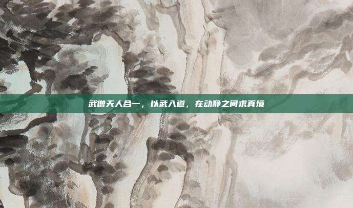 武僧天人合一,以武入道,在动静之间求真境