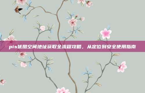 pis优酷空间地址获取全流程攻略,从定位到安全使用指南