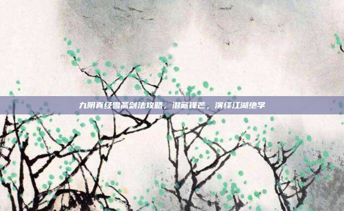 九阴真经雪斋剑法攻略,潜藏锋芒,演绎江湖绝学
