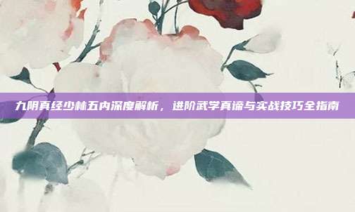 九阴真经少林五内深度解析,进阶武学真谛与实战技巧全指南