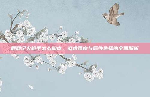 鹿鼎记火枪手怎么加点，战术强度与属性选择的全面解析