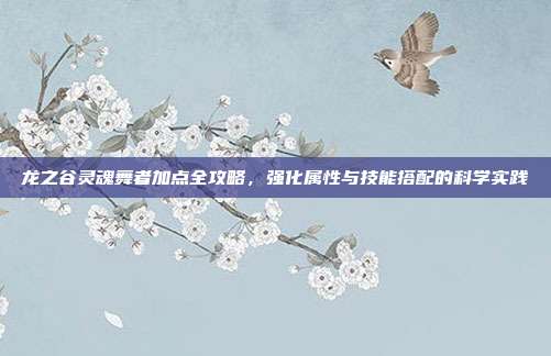 龙之谷灵魂舞者加点全攻略，强化属性与技能搭配的科学实践