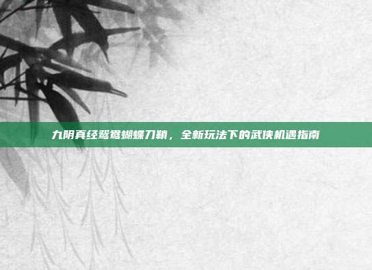 九阴真经鸳鸯蝴蝶刀鞘,全新玩法下的武侠机遇指南