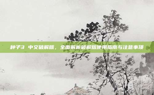 种子3 中文破解版,全面解析破解版使用指南与注意事项