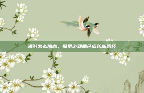 漫游怎么加点,探索游戏角色成长新路径
