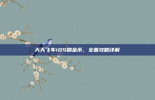 天天飞车iOS刷金币,全面攻略详解