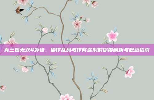 真三国无双4外挂,操作乱码与作弊漏洞的深度剖析与规避指南
