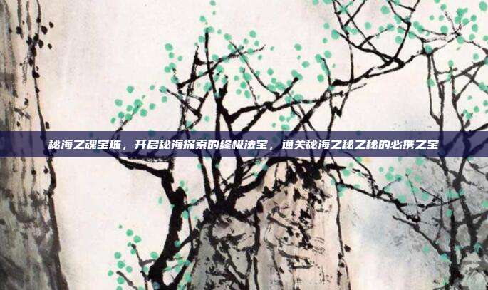 秘海之魂宝珠，开启秘海探索的终极法宝，通关秘海之秘之秘的必携之宝