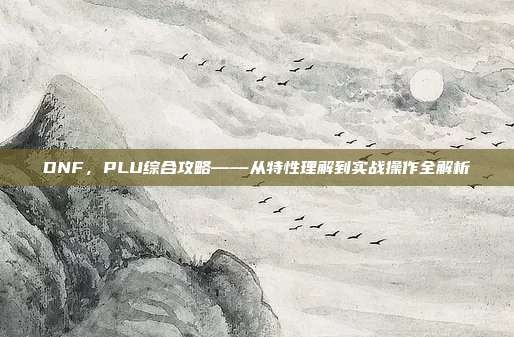 DNF，PLU综合攻略——从特性理解到实战操作全解析