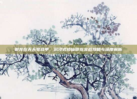 御龙在天天驭战甲,沉浸式修仙御龙实战攻略与深度解析