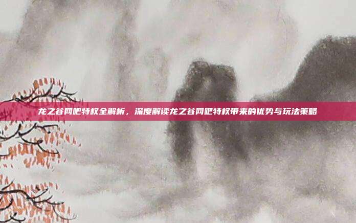 龙之谷网吧特权全解析，深度解读龙之谷网吧特权带来的优势与玩法策略