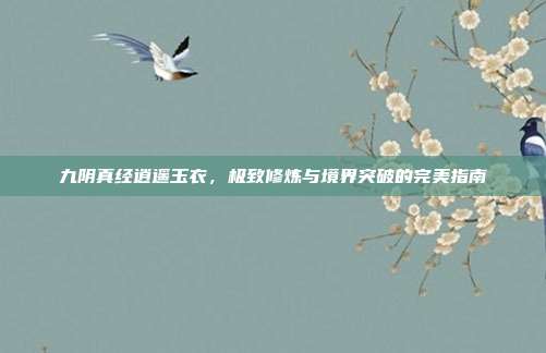 九阴真经逍遥玉衣,极致修炼与境界突破的完美指南