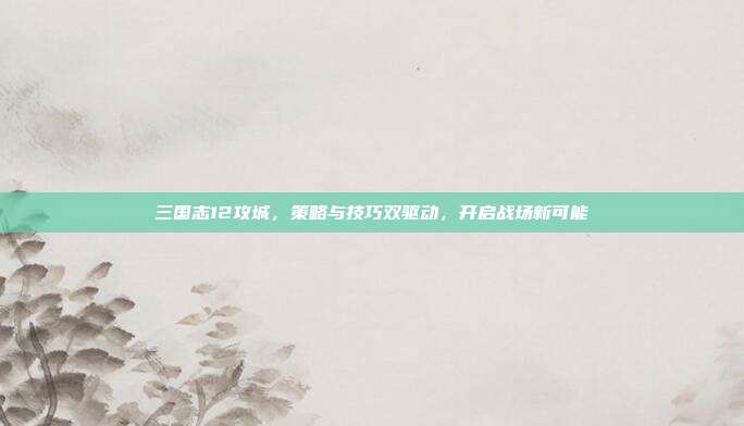 三国志12攻城,策略与技巧双驱动,开启战场新可能