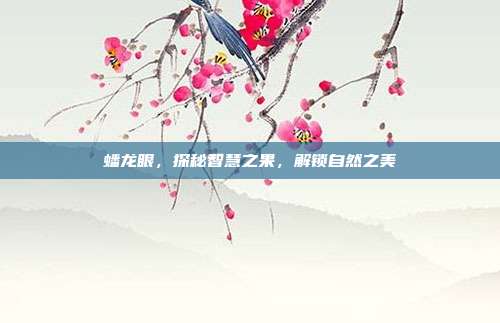 蟠龙眼,探秘智慧之果,解锁自然之美
