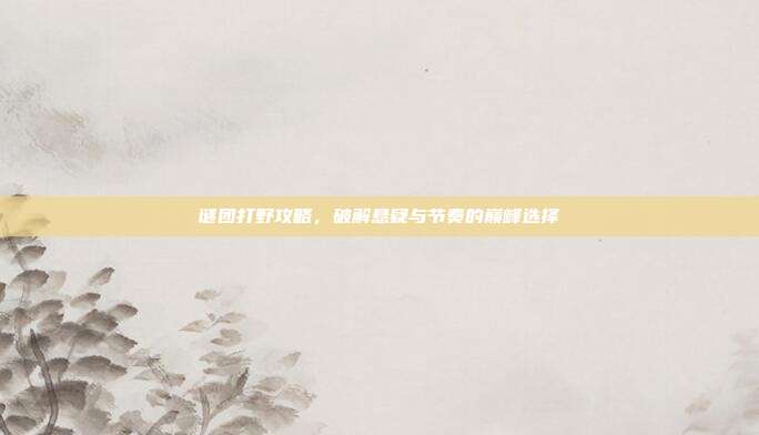 谜团打野攻略,破解悬疑与节奏的巅峰选择