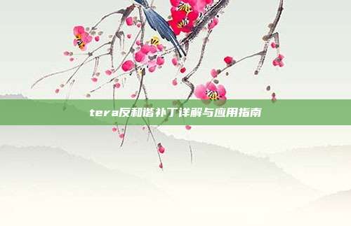 tera反和谐补丁详解与应用指南