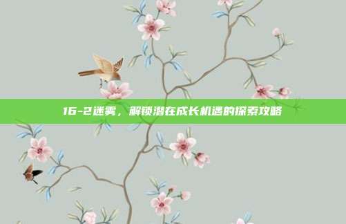 16-2迷雾,解锁潜在成长机遇的探索攻略
