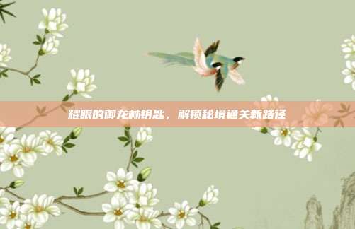 耀眼的御龙林钥匙,解锁秘境通关新路径