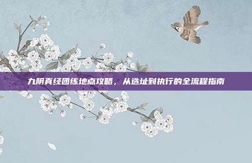 九阴真经团练地点攻略,从选址到执行的全流程指南