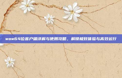 wow64位客户端详解与使用攻略,解锁极致体验与高效运行