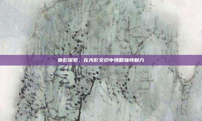 章影探索,在光影交织中领略独特魅力