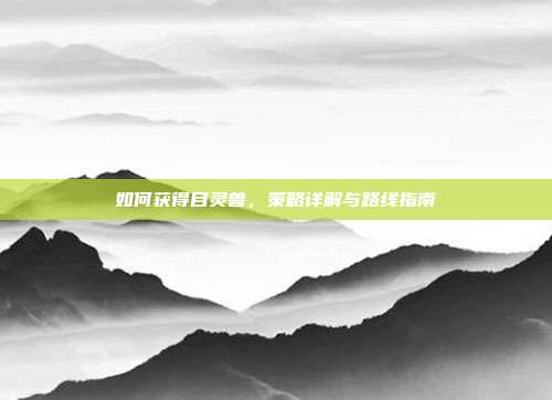 如何获得目灵兽,策略详解与路线指南
