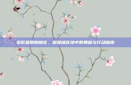 变形金刚摘棉花,深探棉花地中的奥秘与行动指南