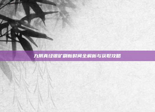 九阴真经银矿刷新时间全解析与获取攻略
