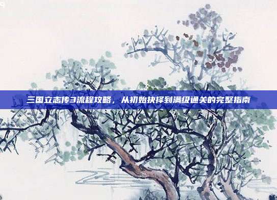 三国立志传3流程攻略,从初始抉择到满级通关的完整指南