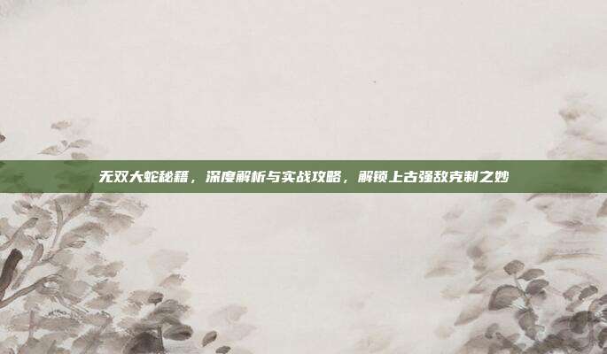 无双大蛇秘籍,深度解析与实战攻略,解锁上古强敌克制之妙