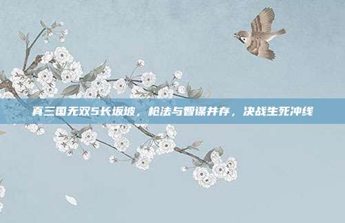真三国无双5长坂坡,枪法与智谋并存,决战生死冲线