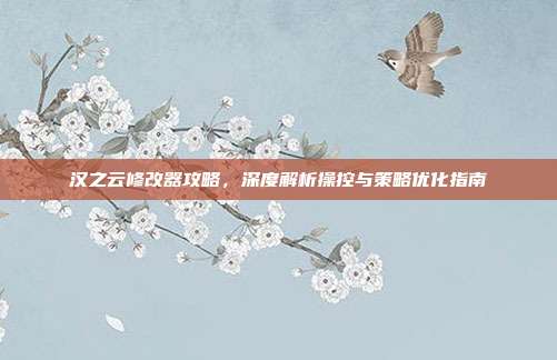 汉之云修改器攻略,深度解析操控与策略优化指南
