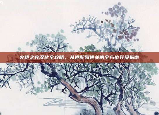 火炬之光汉化全攻略，从适配到通关的全方位升级指南