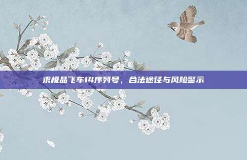 求极品飞车14序列号,合法途径与风险警示