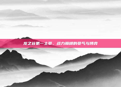 龙之谷第一土豪,战力巅峰的豪气与博弈