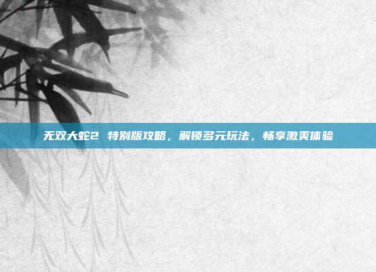 无双大蛇2 特别版攻略,解锁多元玩法,畅享激爽体验