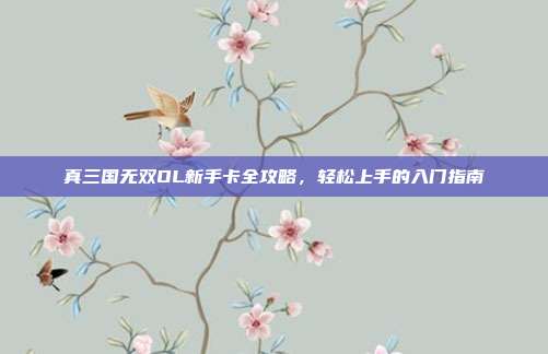 真三国无双OL新手卡全攻略,轻松上手的入门指南
