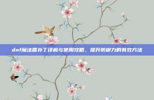 dnf魔法盾补丁详解与使用攻略,提升防御力的有效方法