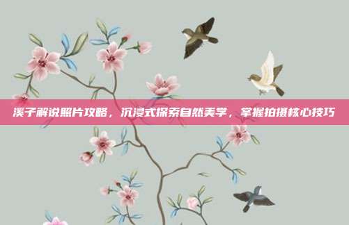 溪子解说照片攻略,沉浸式探索自然美学,掌握拍摄核心技巧