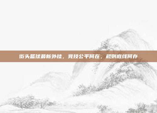 街头篮球最新外挂，竞技公平何在，规则底线何存